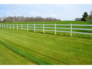 Property photo 98 - REAL ESTATE & PERSONAL PROPERTY AUCTION - 23.5+/- ACRES OFFERED IN 3 TRACTS OR COMBINATIONS IN EAST ALLEN COUNTY